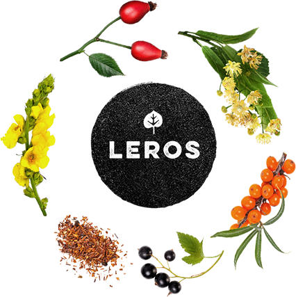 LEROS